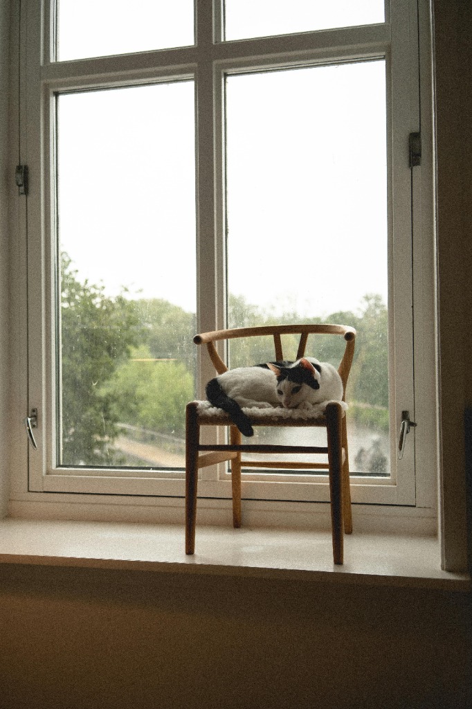 Cozy interior design — CM Home Decor